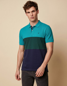 Allen solly Men Colorblock Polo Neck (M)