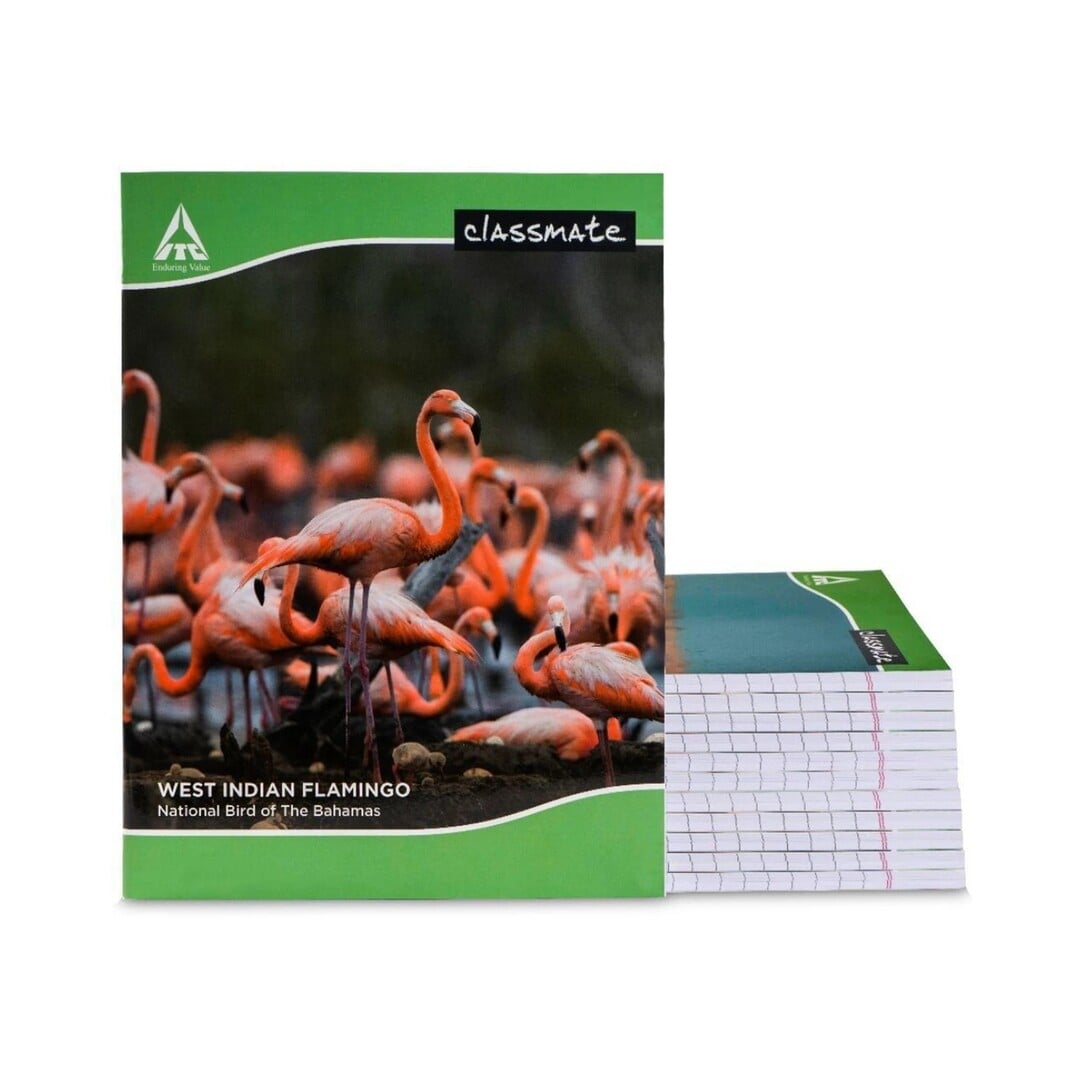 Classmate Notebook Regular Notebook Single Line 172 Pages (Multic