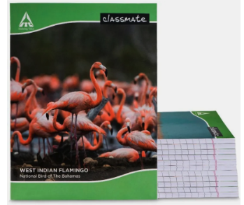Classmate Notebook Regular Notebook Single Line 172 Pages (Multicolor, Pack of 12) ,location specific
