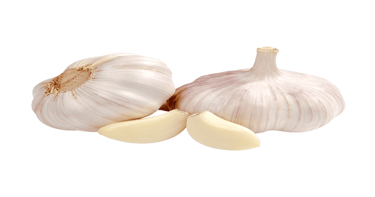 garlic