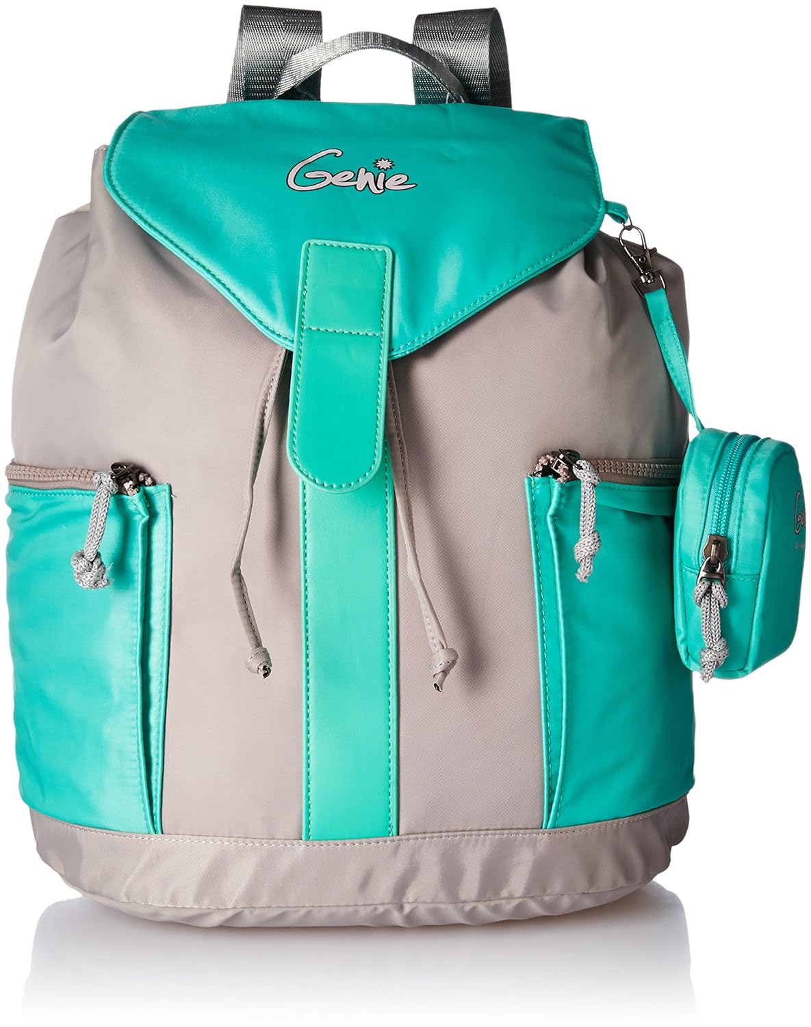 Genie 20 Ltrs Grey Casual Backpack- Shade