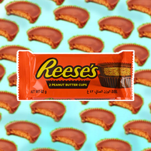 Hersheys Reese Peanut Butter Cup Bites (42 g)