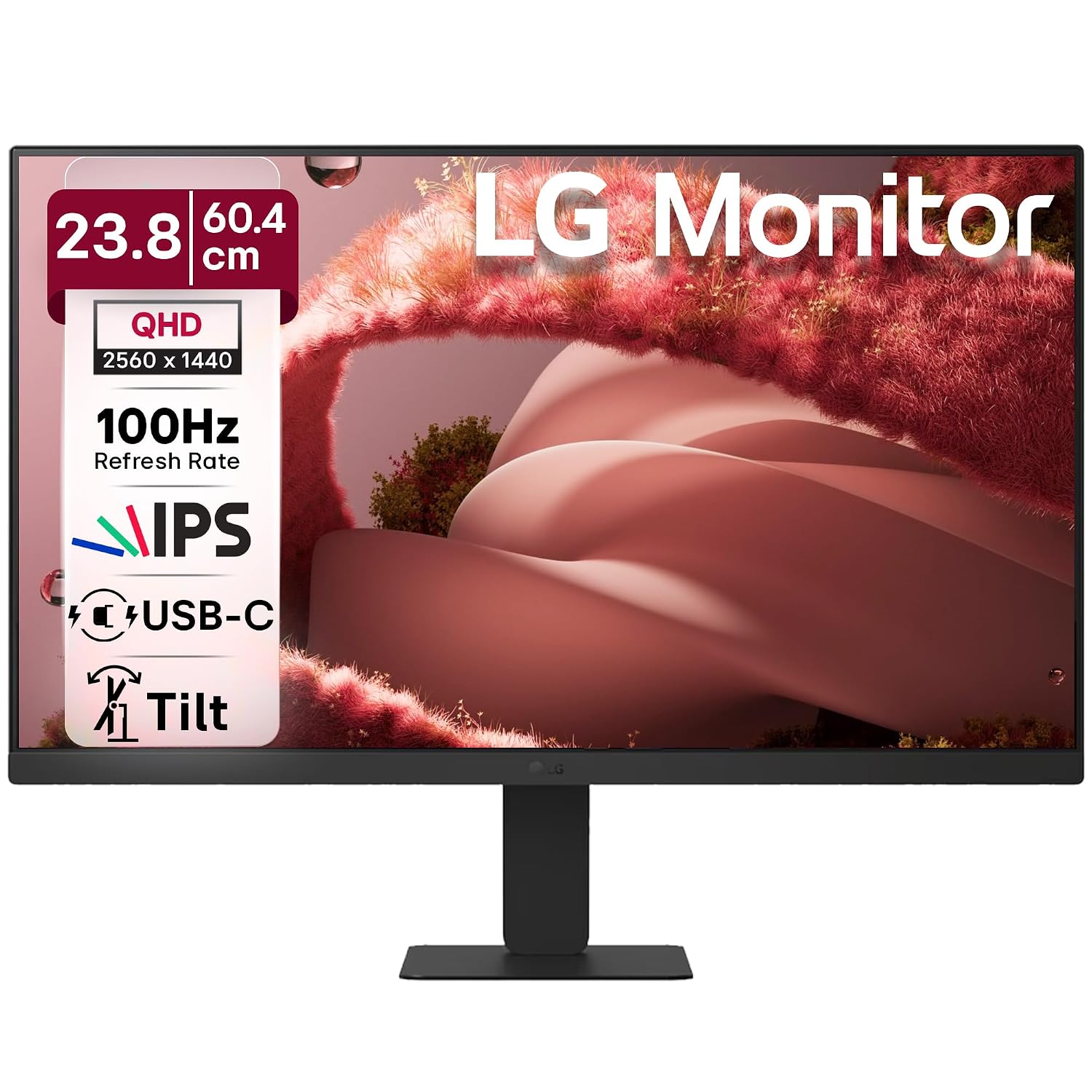 LG 24U631A 60.4 cm (23.8 Inch) QHD (2560x1440) IPS PC Monitor with 100Hz, 5ms (GtG) HDR10, Flicker Safe