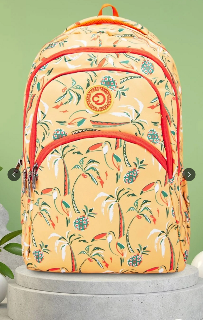 Myntra: Caprese Backpacks Up to 90% off