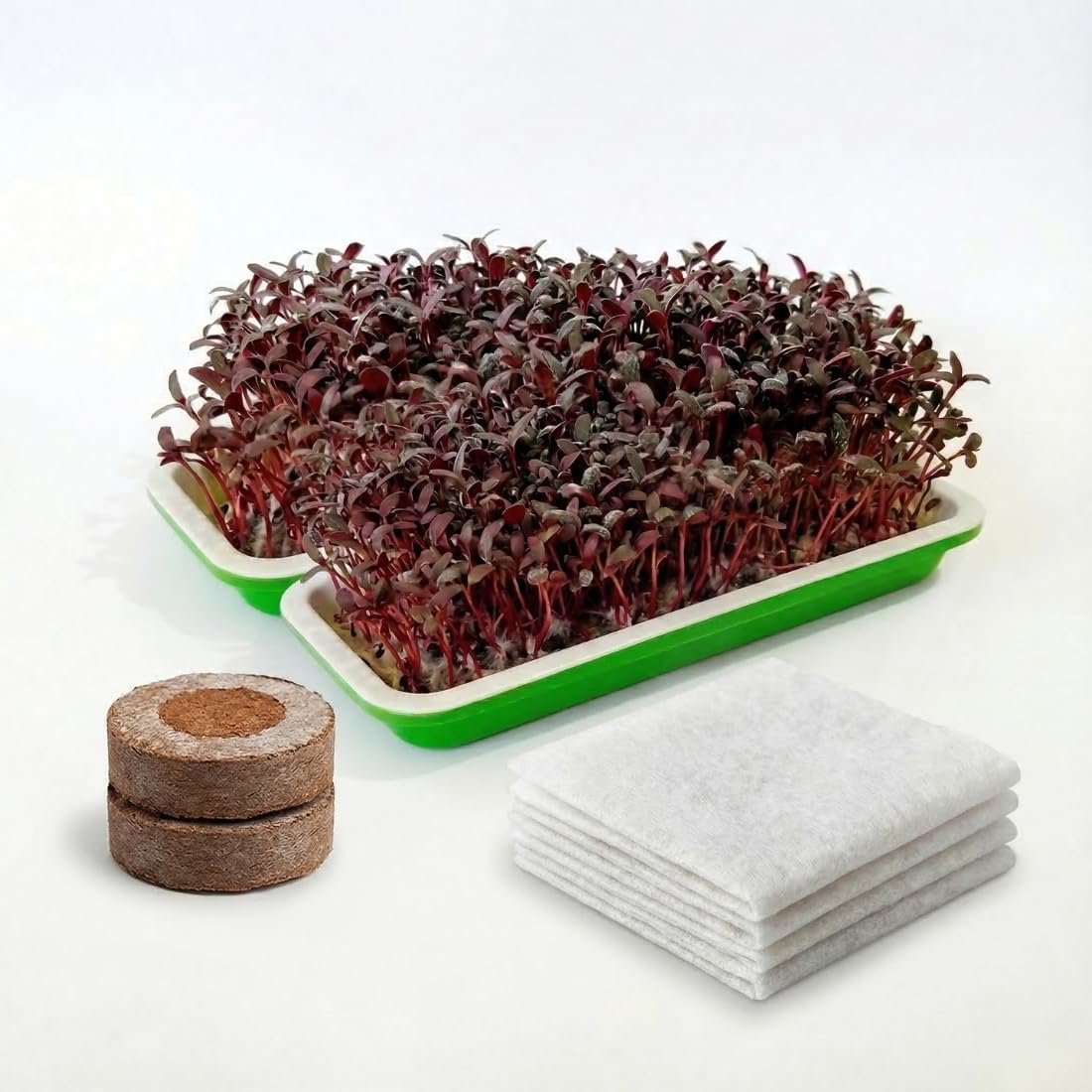 Sample@99 - Anirdesh Hydroponic Seed Sprouter Tray with Microgreens Kit Coco-Coin Discs & Germination Paper, Green, 22.2