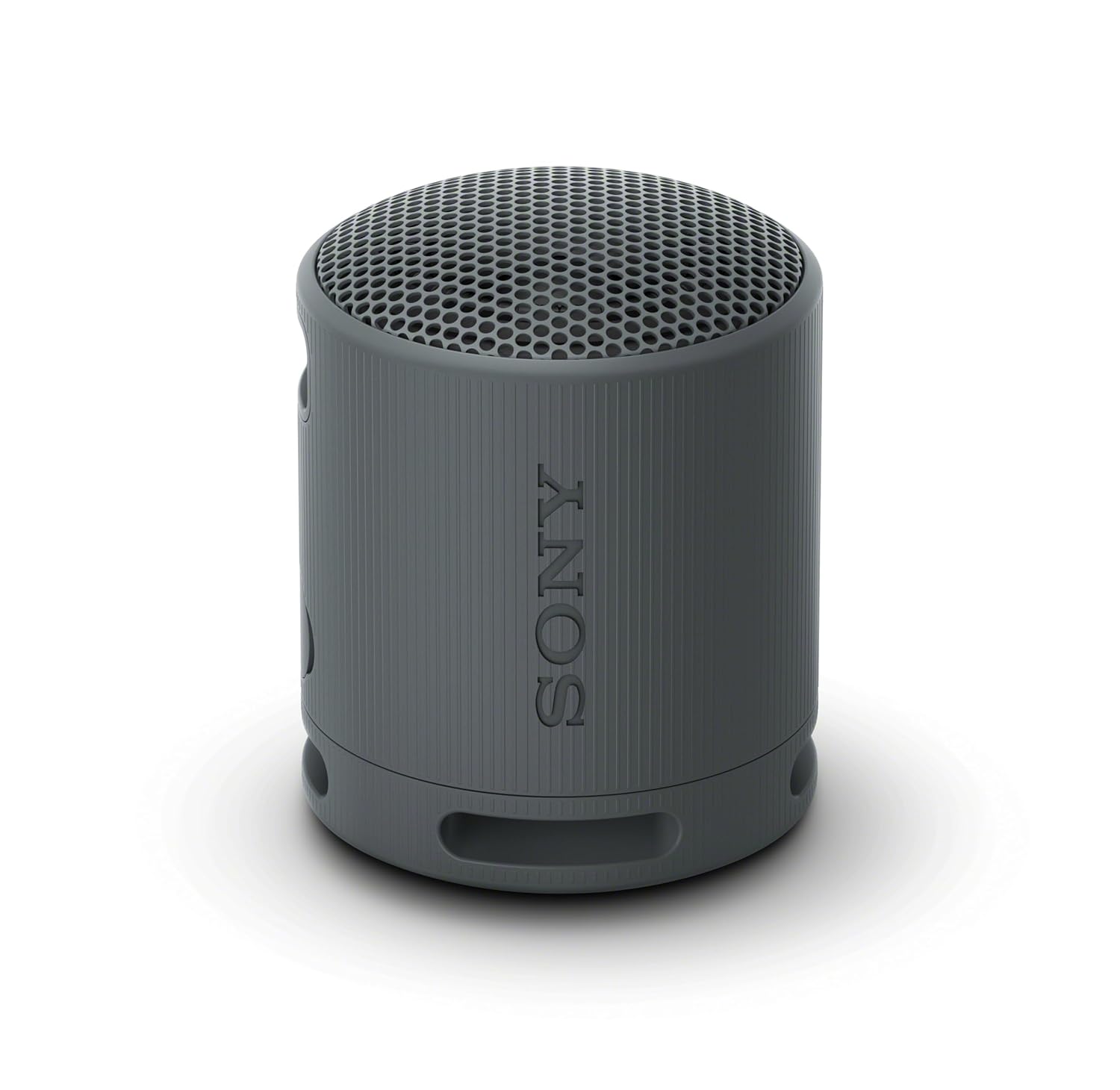 Sony SRS-XB100 Portable Bluetooth Speaker