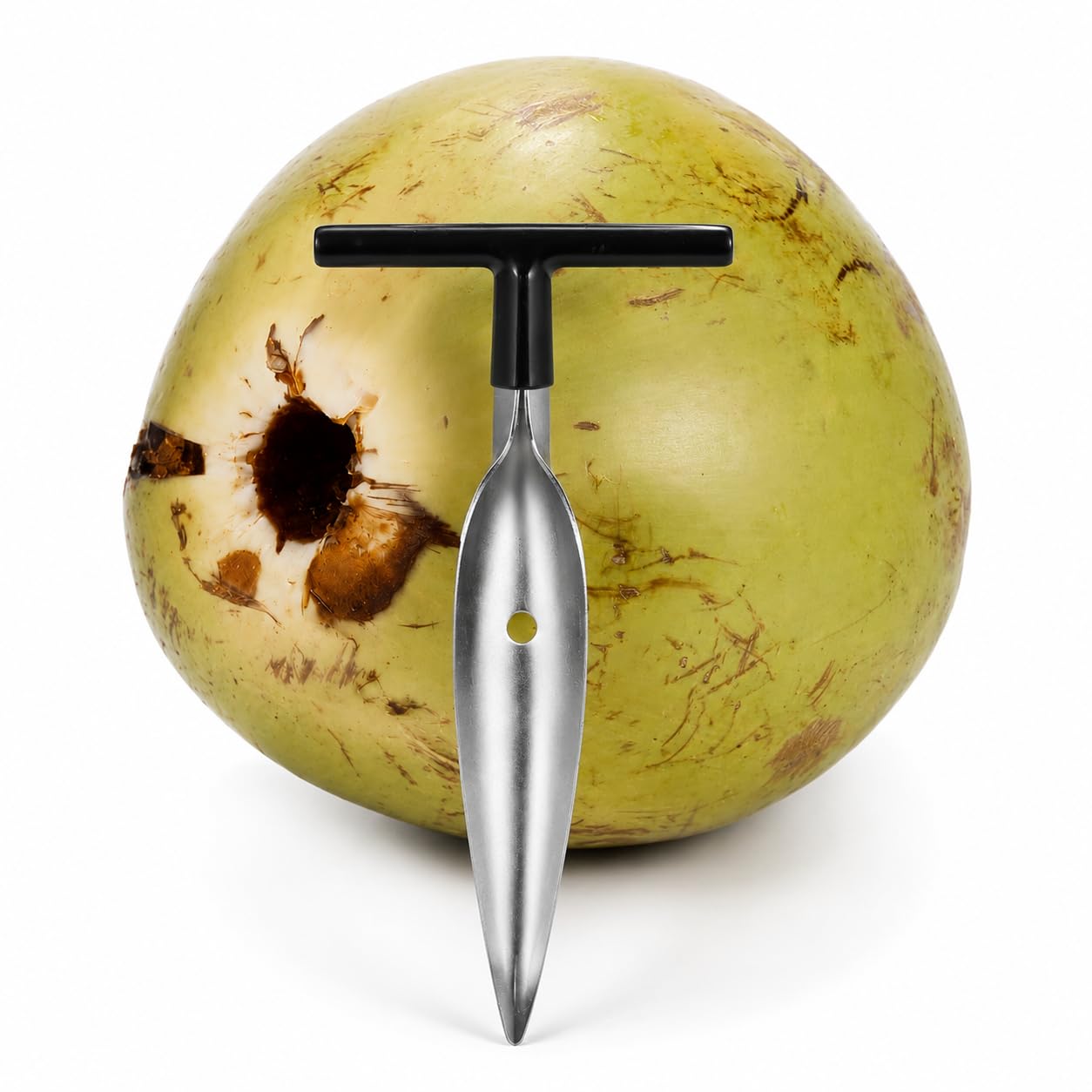 Stainless Steel Coconut Opener Tool (MOQ-2)