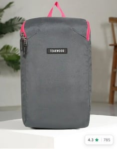 Teakwood Leathers Solid Small Ergonomic Water Resistant Structured Backpack