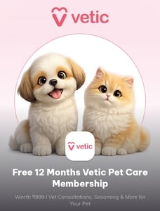 Times Prime: Free 12-Month Vetic Pet Care Membership | Worth Rs. 999