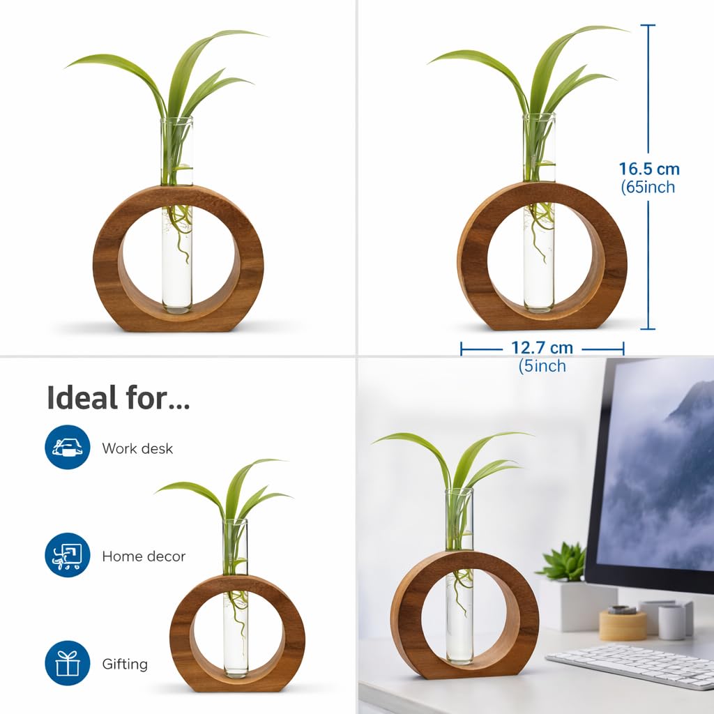 Wooden 1 Glass Test Tube Home Decor Planter Modern Flower Vase with Wood Stand Plant Propagation (17x12.5) cm