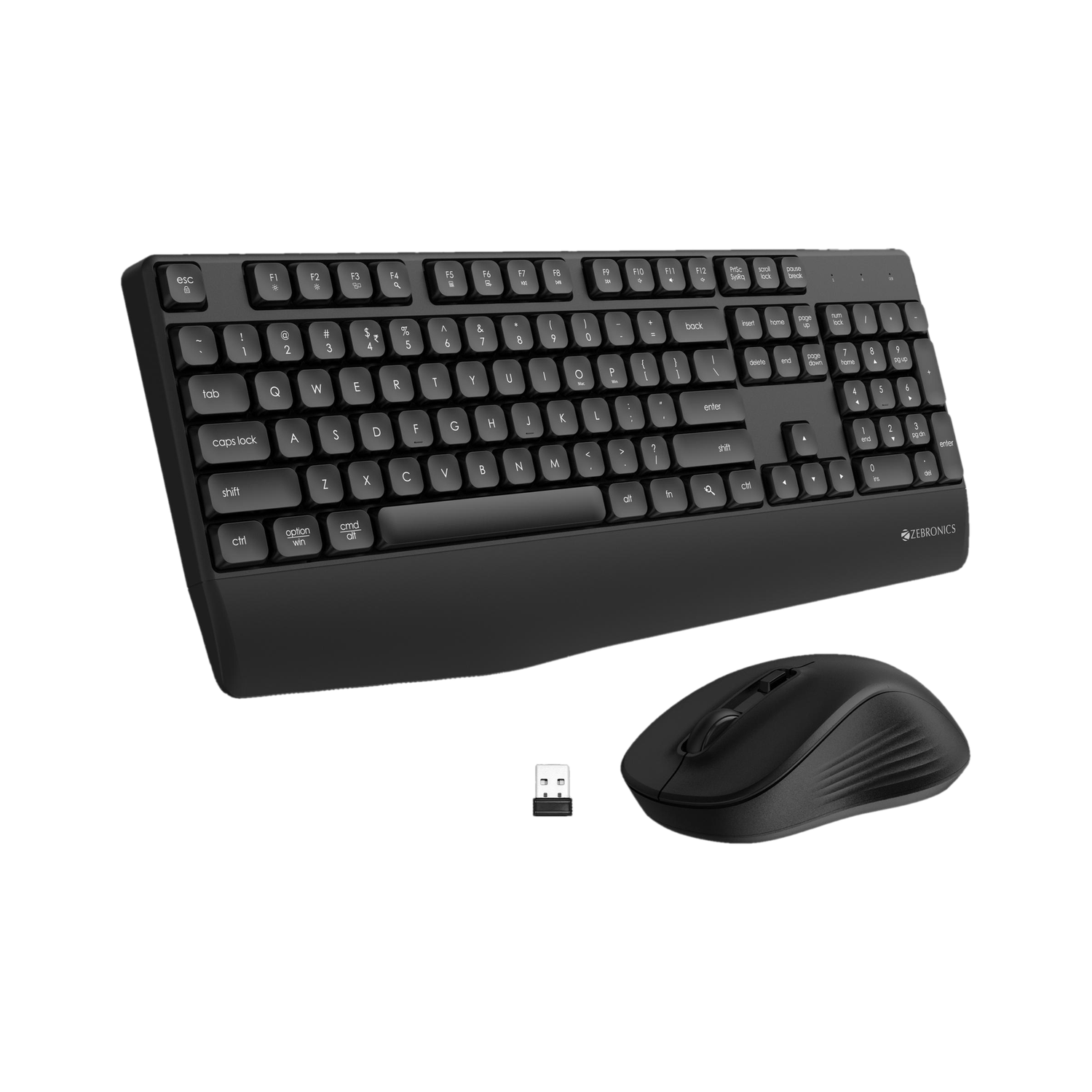 ZEBRONICS Companion 202 Wireless Standard Desktop Keyboard