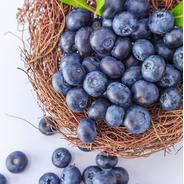 Get Upto 15% OFF On Dried Berries Get Upto 15% OFF On Dried Berries
