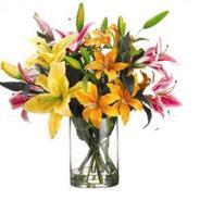 Get Rs.75 Discount on sending flowers in India Get Rs.75 Discount on sending flowers in India