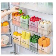 RILION 6 fridge storage boxes multipurpose containers for storage Space-saving Refrigerator Side Door Organizer for fridge kitchen Fruits, Vegetables Storage Containers- transparent