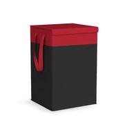Amazon Loot | 75L Laundry Bag at Rs.199