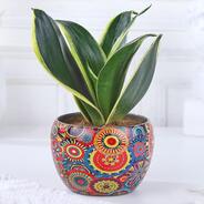 Up to 60% Off on Festive Deals with Ferns n petals